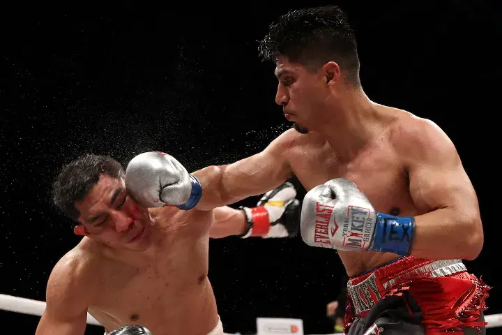 Garcia Vargas Fight