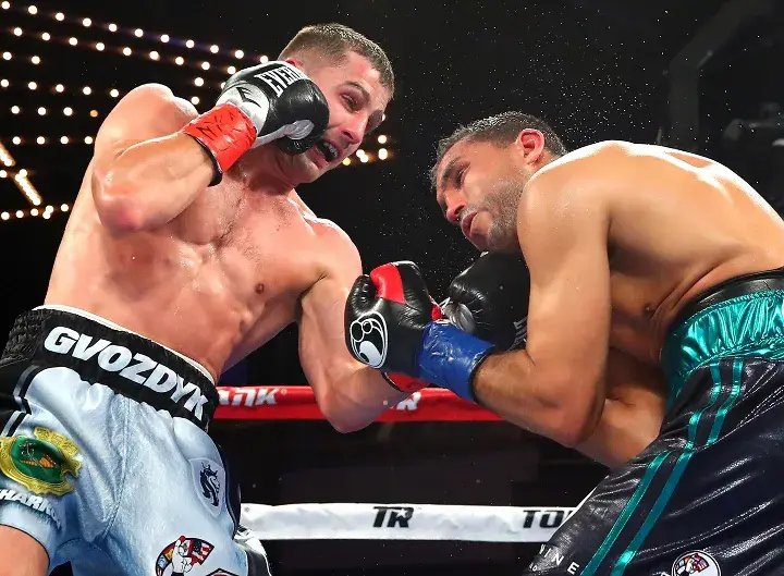 Gvozdyk Amar Fight
