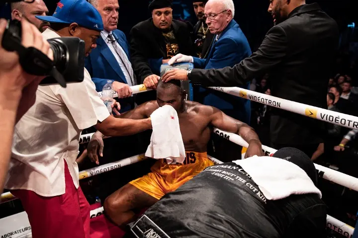 Gvozdyk Stevenson Fight