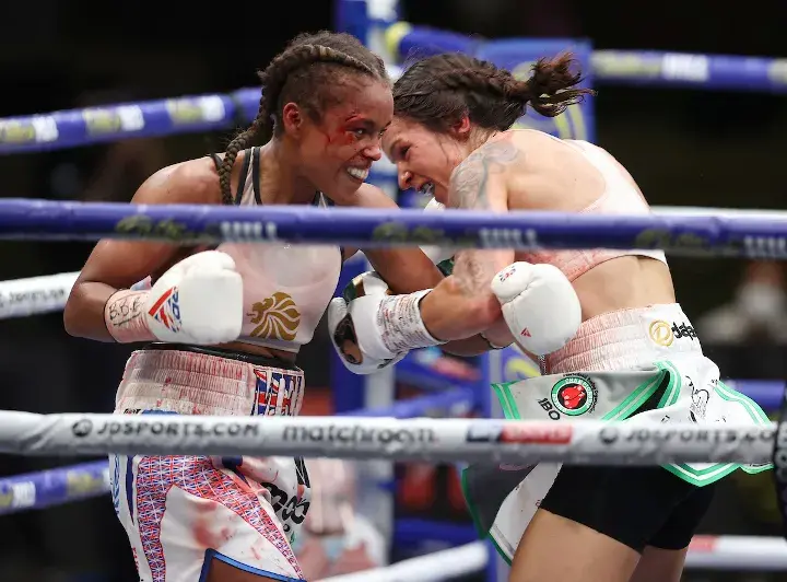 Harper Jonas Fight