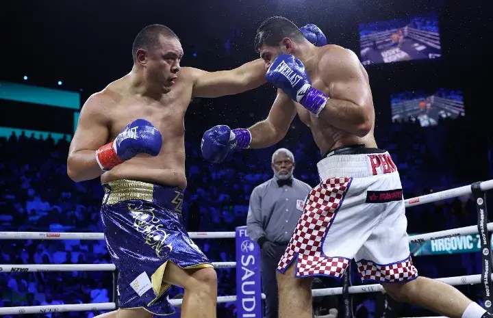 Hrgovic Zhilei Fight