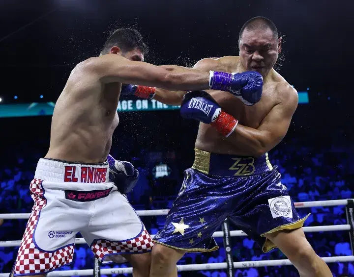 Hrgovic Zhilei Fight