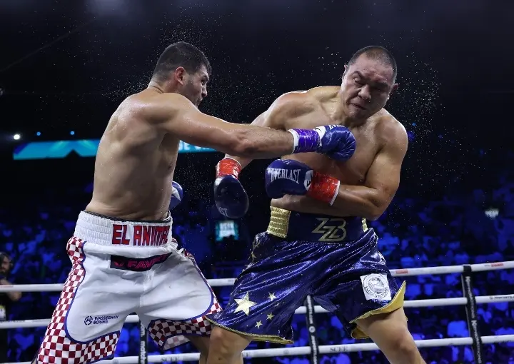 Hrgovic Zhilei Fight
