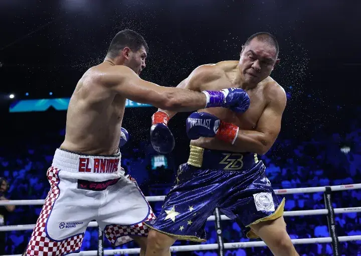 Hrgovic Zhilei Fight