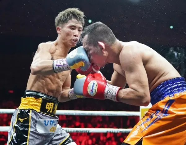 Inoue Donaire Fight