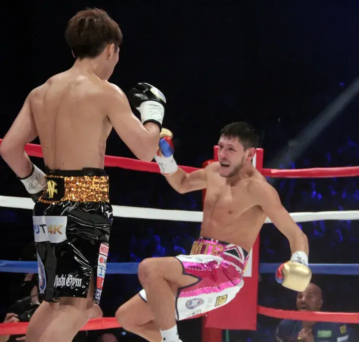 Inoue Mcdonnell Fight