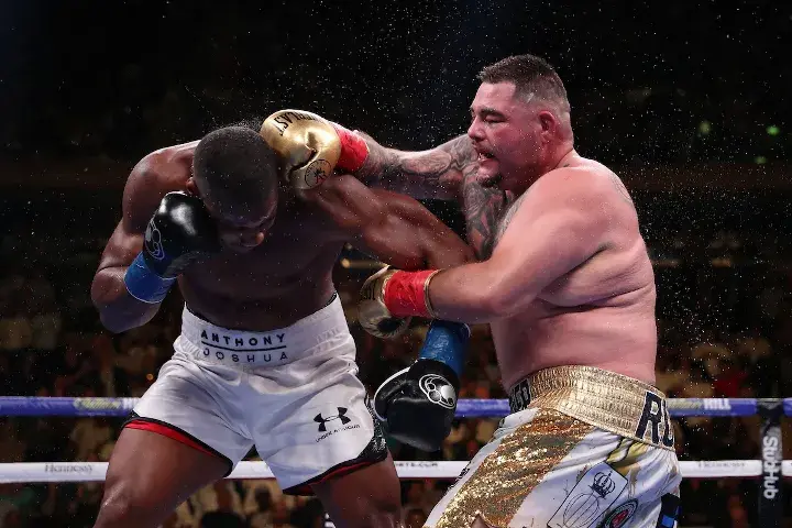 Joshua Andy Ruiz Fight