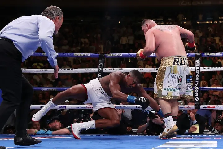 Joshua Andy Ruiz Fight