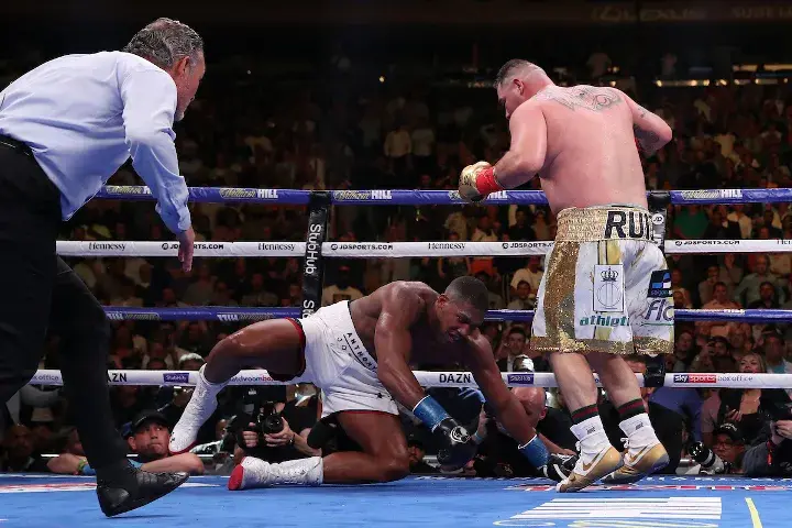 Joshua Andy Ruiz Fight