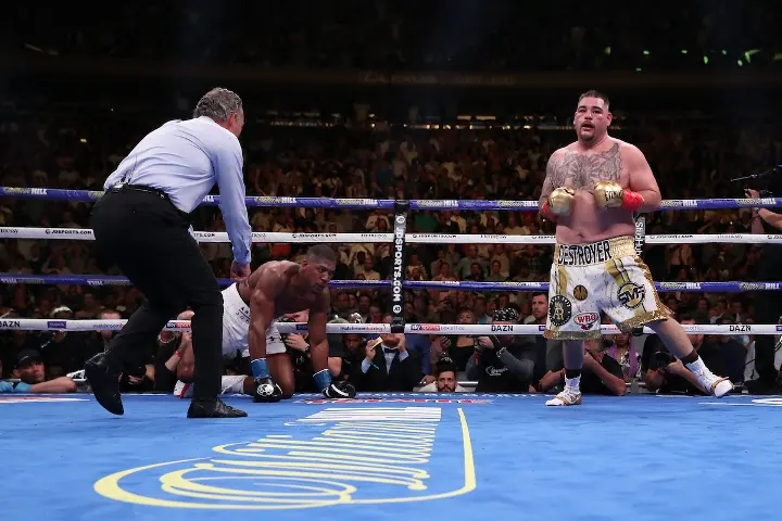 Joshua Andy Ruiz Fight