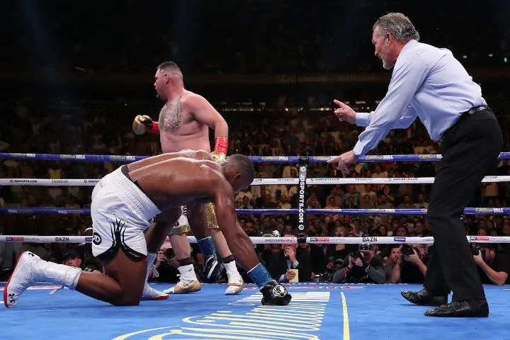 Joshua Andy Ruiz Fight