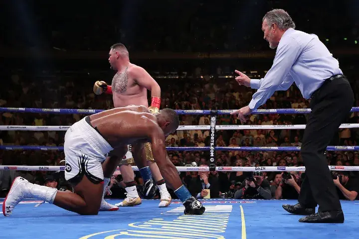 Joshua Andy Ruiz Fight