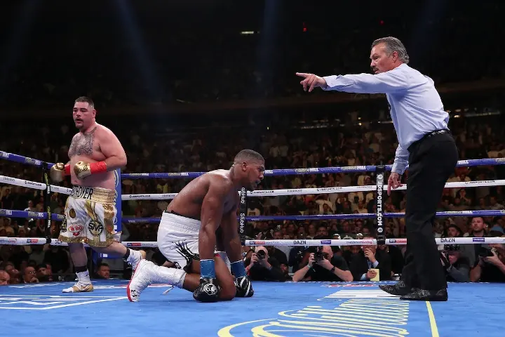 Joshua Andy Ruiz Fight