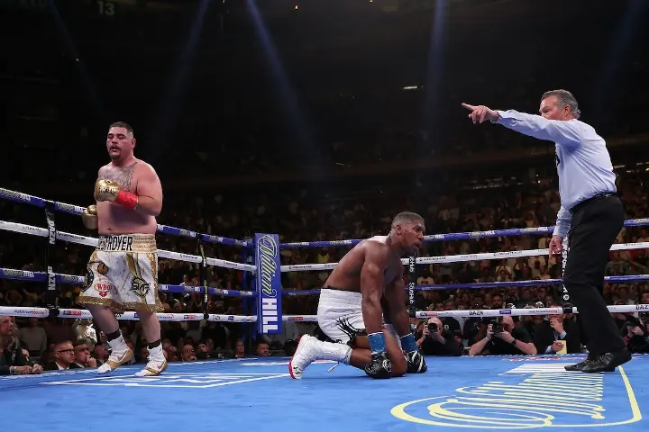 Joshua Andy Ruiz Fight