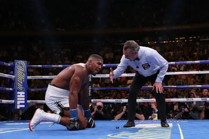 Joshua Andy Ruiz Fight