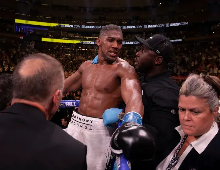 Joshua Andy Ruiz Fight