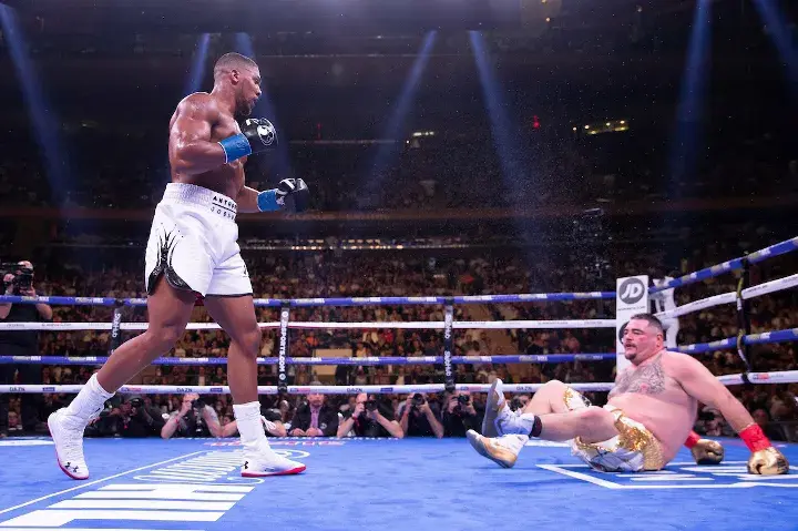 Joshua Andy Ruiz Fight