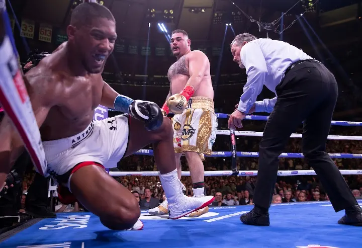 Joshua Andy Ruiz Fight