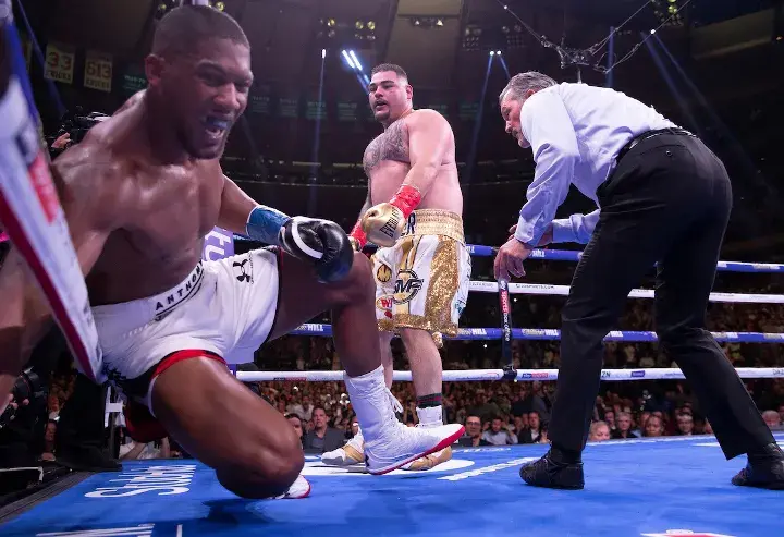 Joshua Andy Ruiz Fight