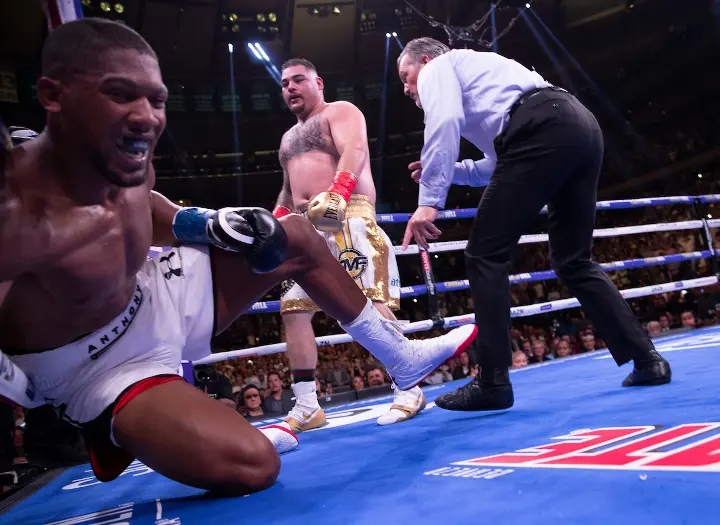 Joshua Andy Ruiz Fight