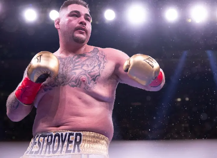 Joshua Andy Ruiz Fight