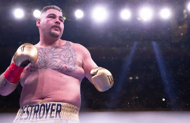Joshua Andy Ruiz Fight