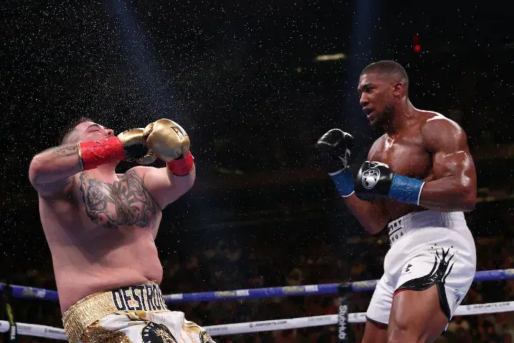 Joshua Andy Ruiz Fight