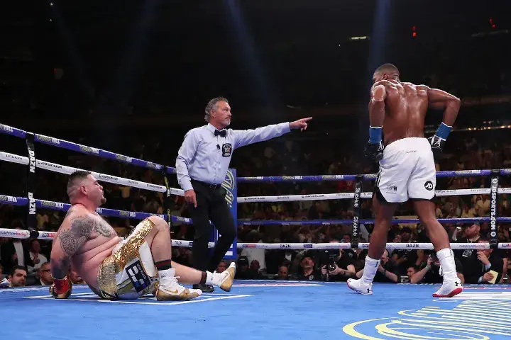 Joshua Andy Ruiz Fight