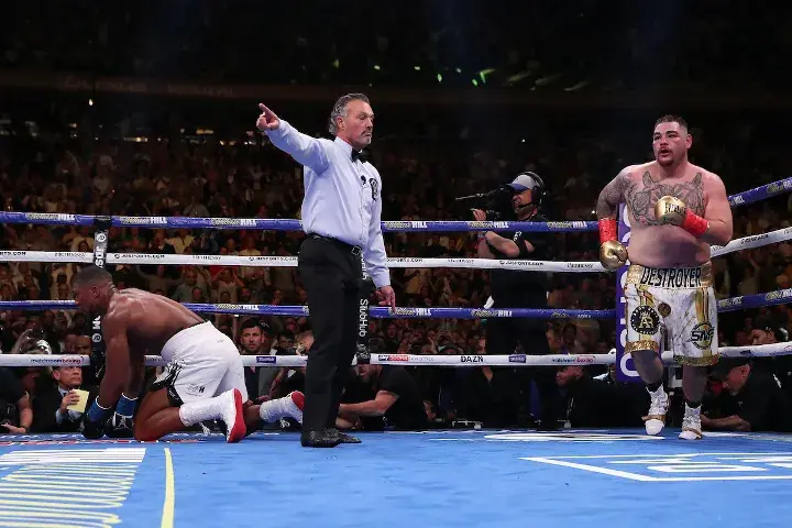 Joshua Andy Ruiz Fight