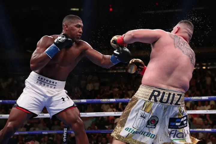 Joshua Andy Ruiz Fight