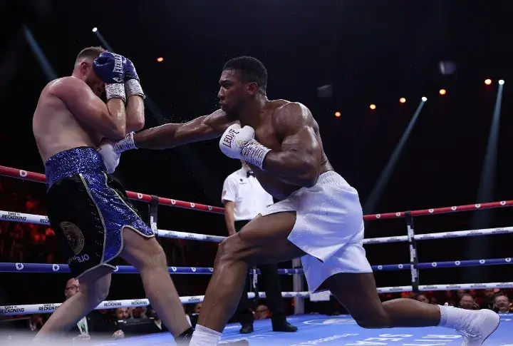Joshua Wallin Fight