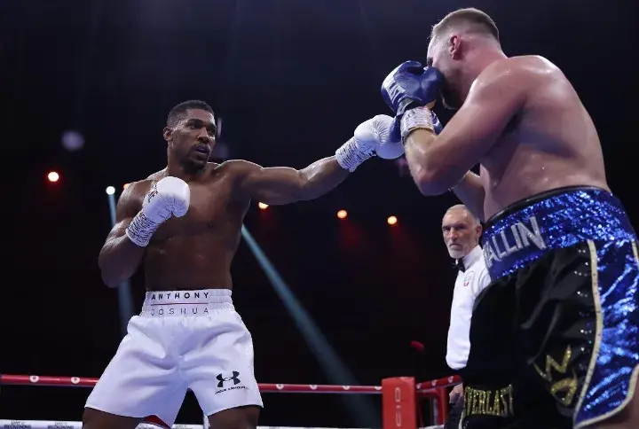 Joshua Wallin Fight
