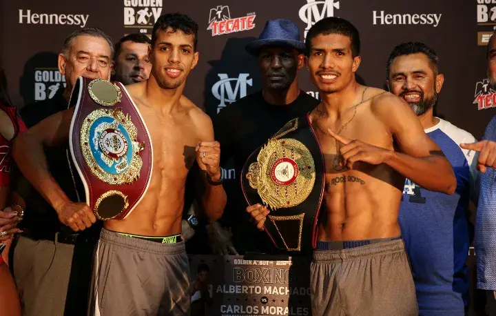 Machado Morales Weights