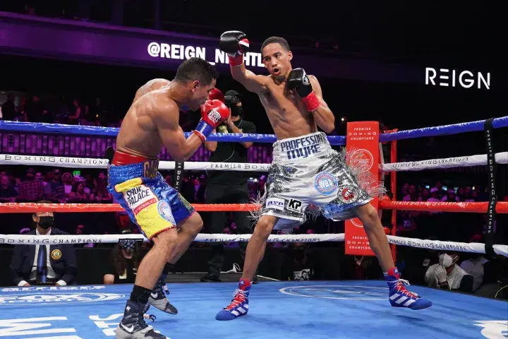 Maestre Fox Fight