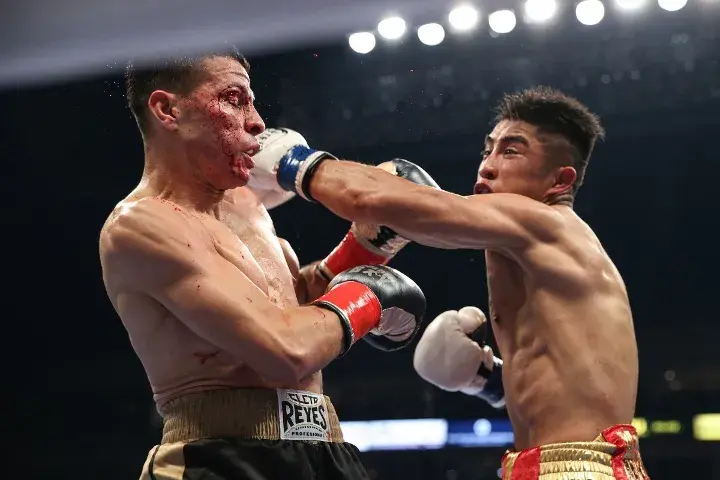 Martinez Arroyo Fight