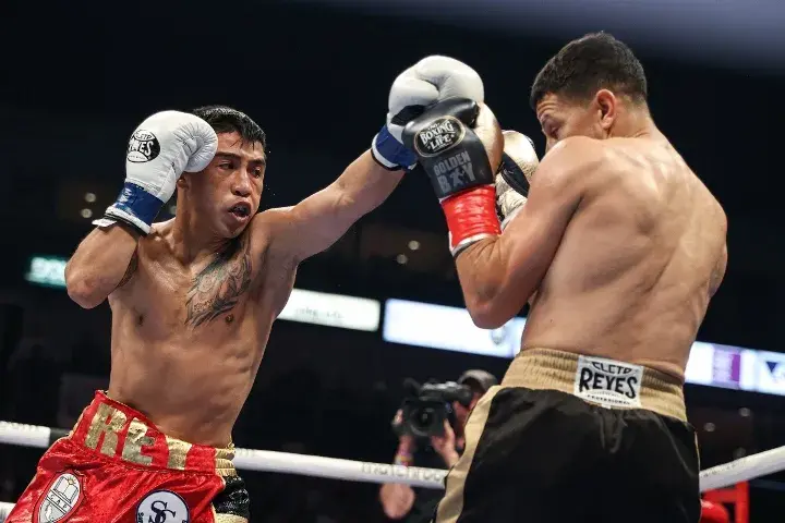 Martinez Arroyo Fight