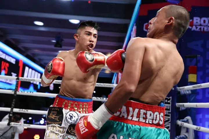 Martinez Calleros Fight