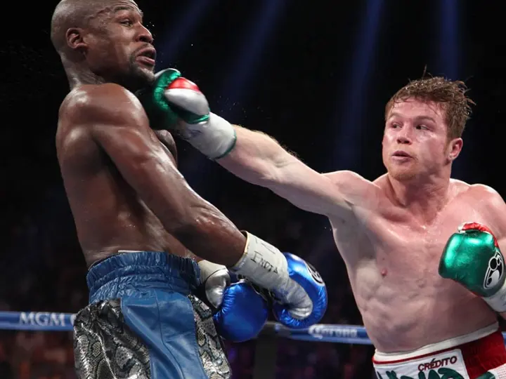 Mayweather Canelo Fight