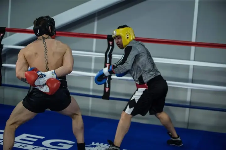 Mcgregor Malignaggi