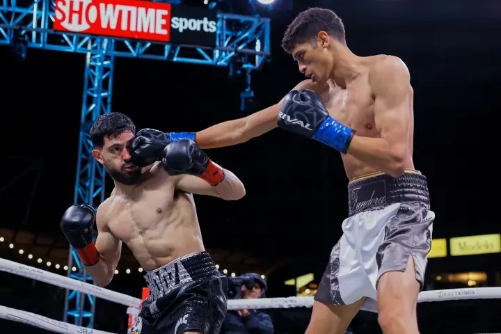 Mendoza Fundora Fight