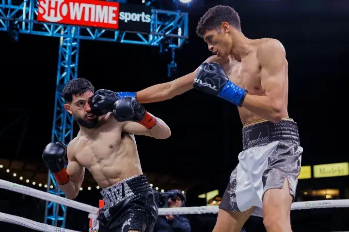 Mendoza Fundora Fight