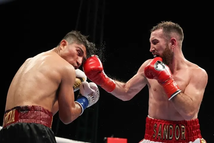 Mikey Garcia Martin Fight