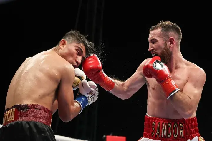 Mikey Garcia Martin Fight