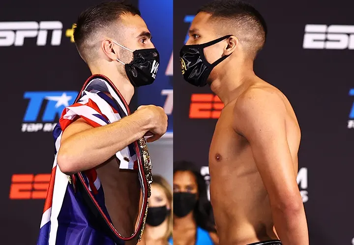 Moloney Franco Weights
