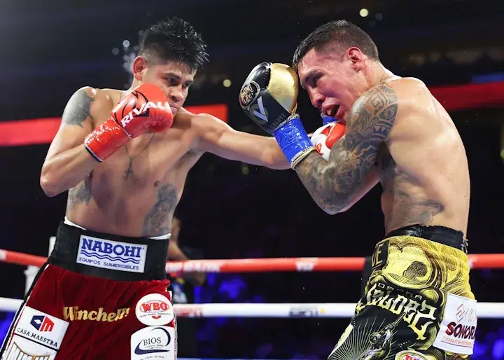 Navarrete Valdez Fight