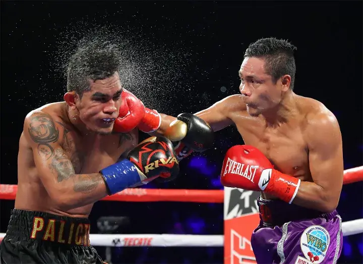 Nietes Palicte Fight