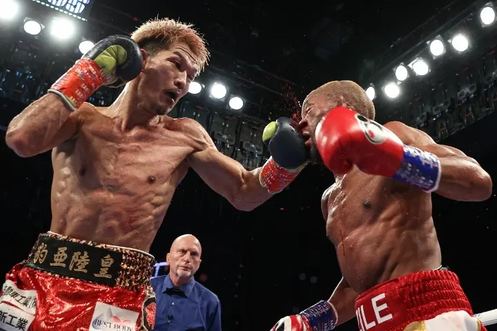 Ogawa Fuzile Fight