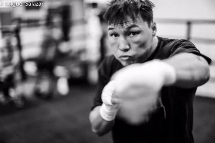 Provodnikov Matthysse