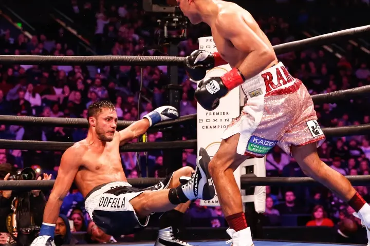 Ramos Perrella Fight