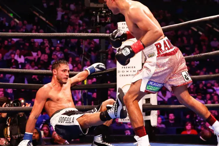 Ramos Perrella Fight